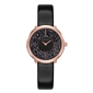 Coinwatch_C181RBL