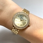 Leonard_LLD1038-1CY#
