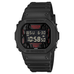 Casio_DW-5600STT-1