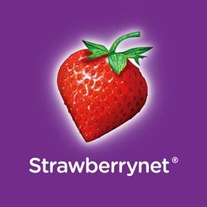 StrawberryNet_01.2027