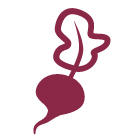 Healthy Express_12.2026