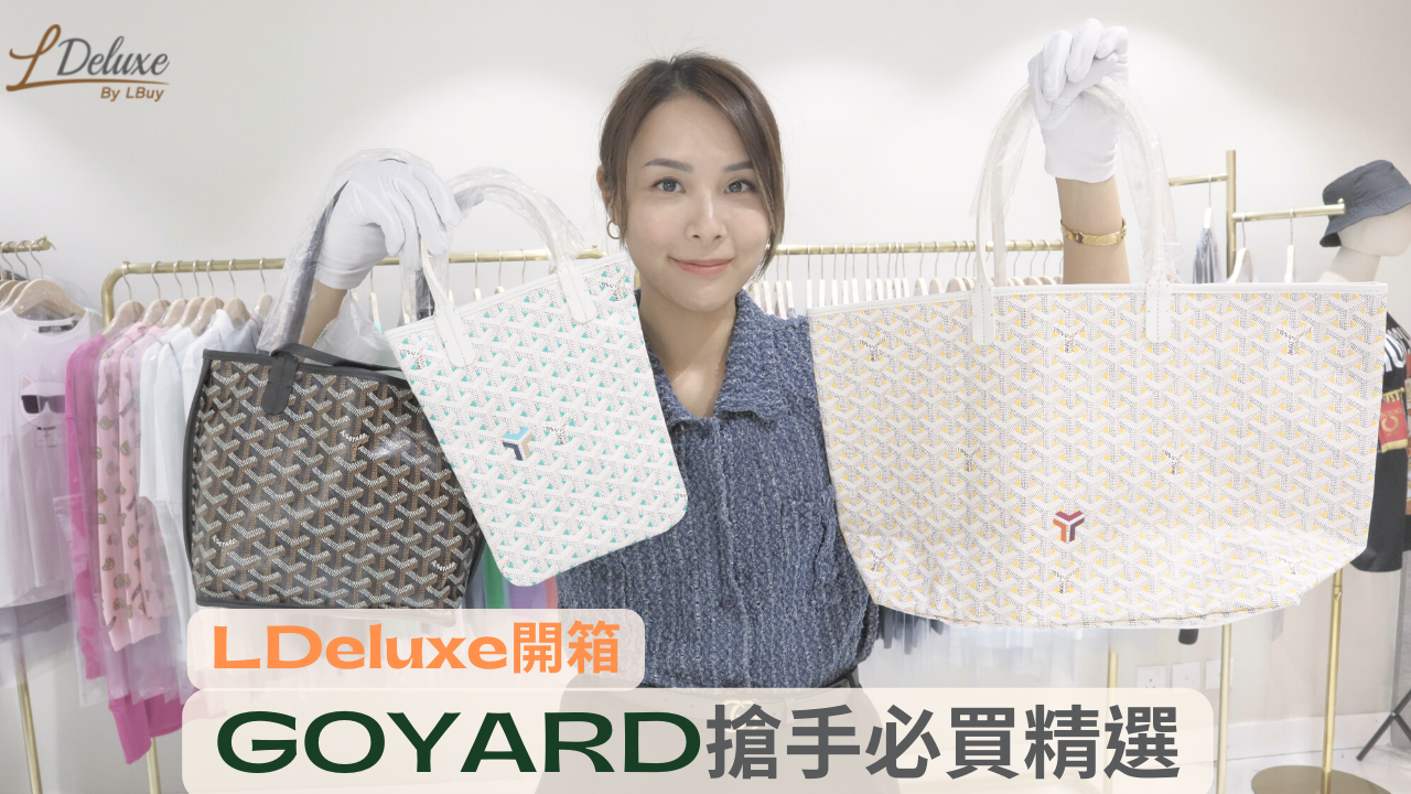 Goyard Anjou PM Unboxing Review - Bought in Singapore Trip 