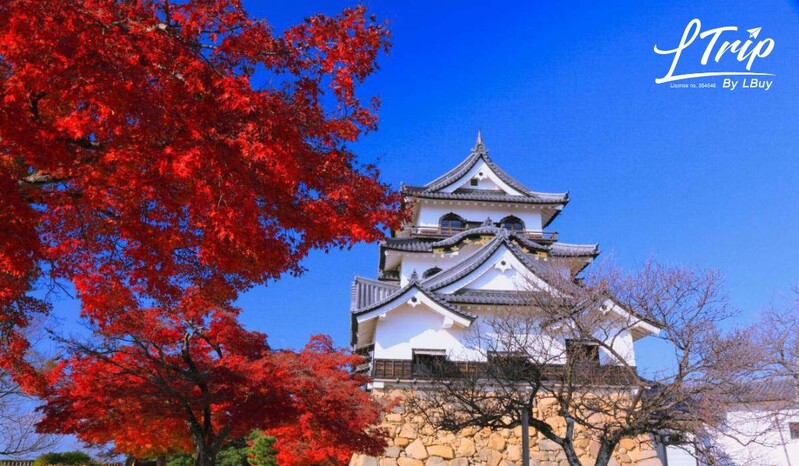 【日本紅葉京都篇】3大好去處：嵐山渡月橋、竹林公園、彥根城