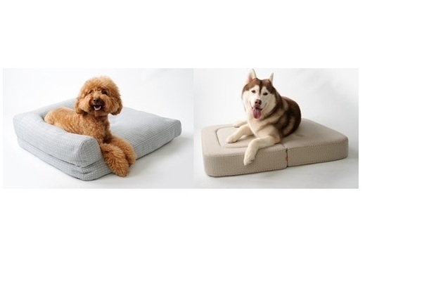 Pet Sofa