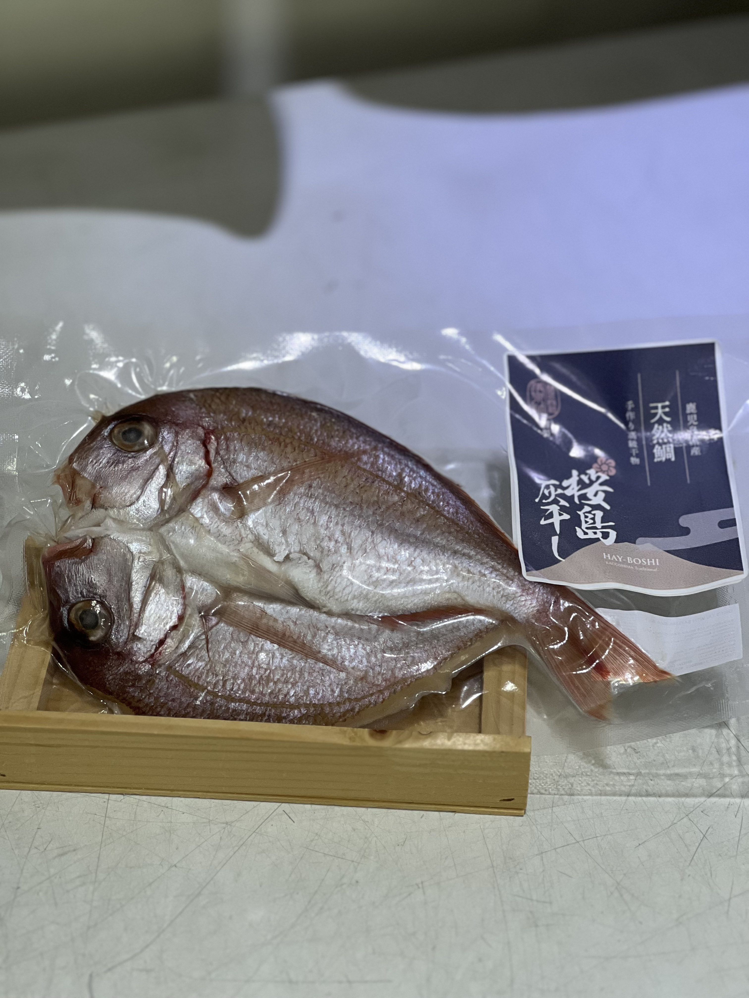 桜島灰幹 一夜幹