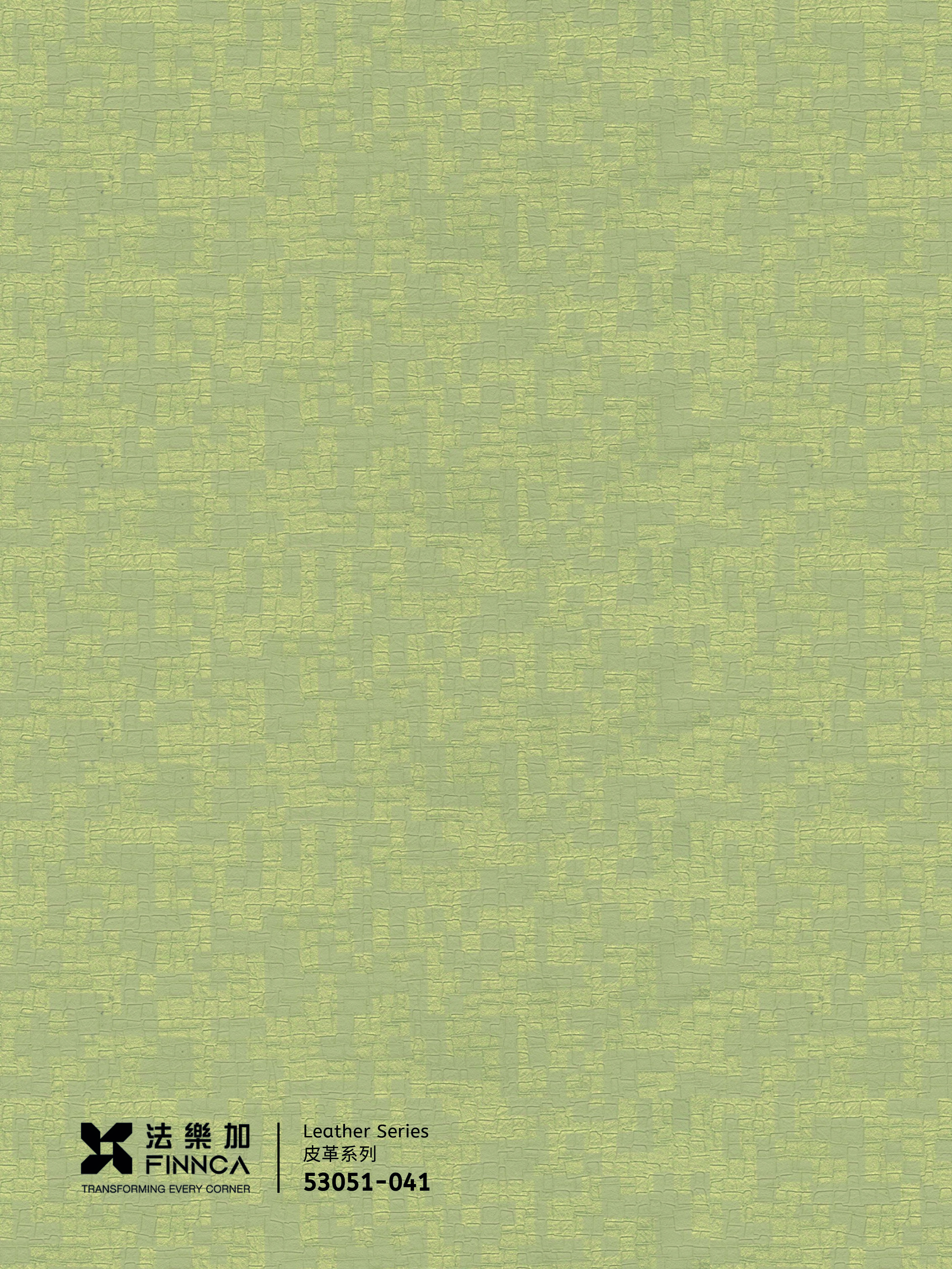 53051-041
