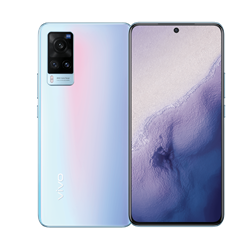 vivo X60