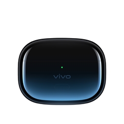 vivo TWS 2e