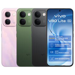 vivo V80 Lite