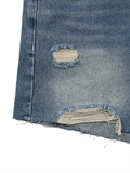  Distressed Denim Shorts