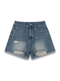  Distressed Denim Shorts