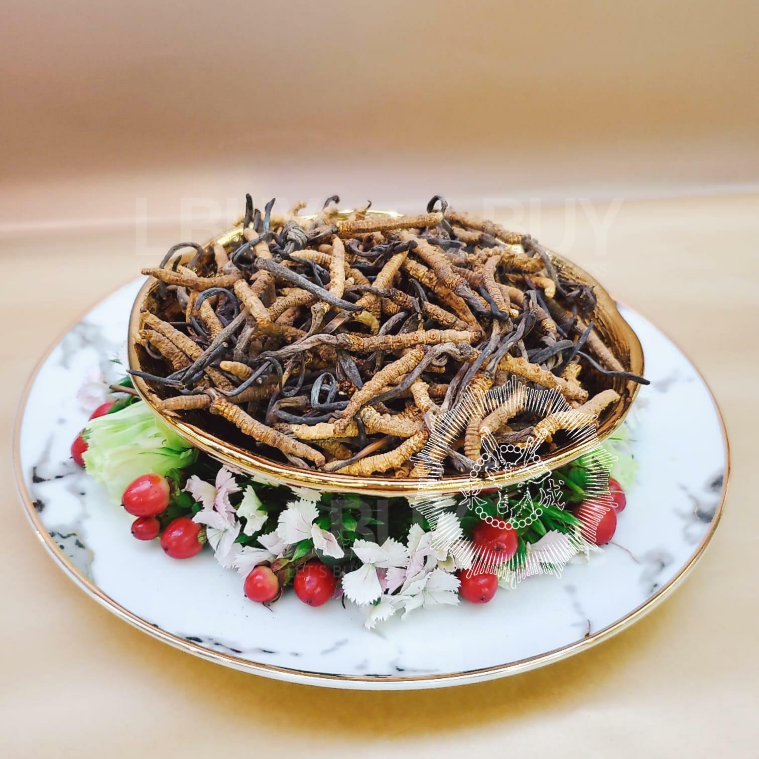 110-120條/両西藏那曲冬蟲夏草 (蟲草)