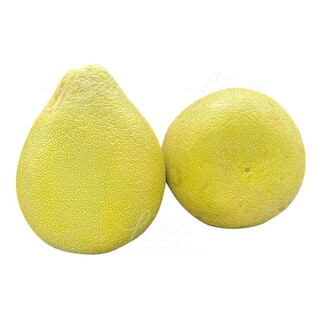 【限量發售】特級柚之寶文旦(兩入裝)