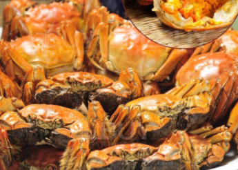 永利威 - 1 隻 (蟹公，約 6.3 - 7.2 両) - 江蘇養殖場大閘蟹【憑券換領，不設送貨】