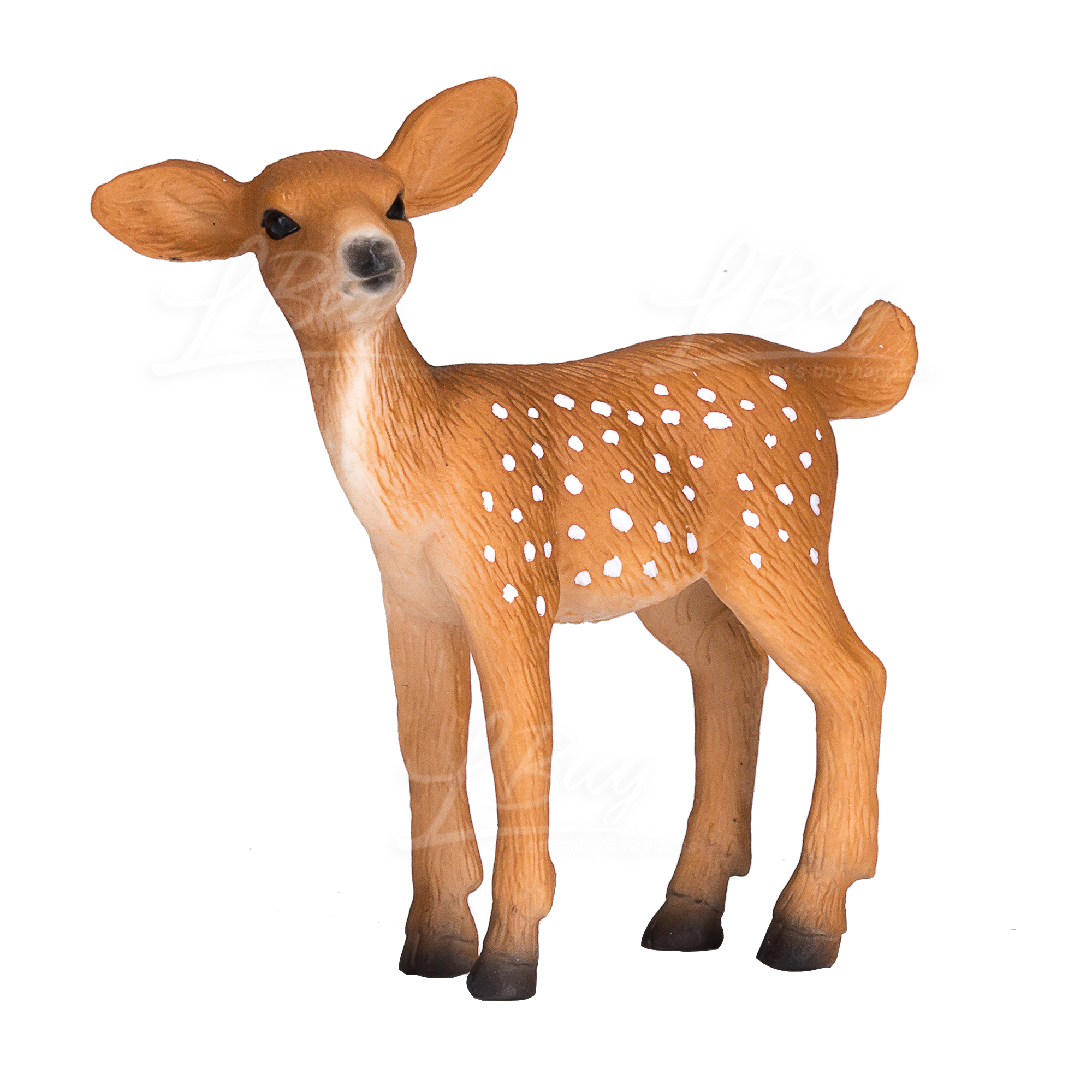 White Tailed Deer Fawn