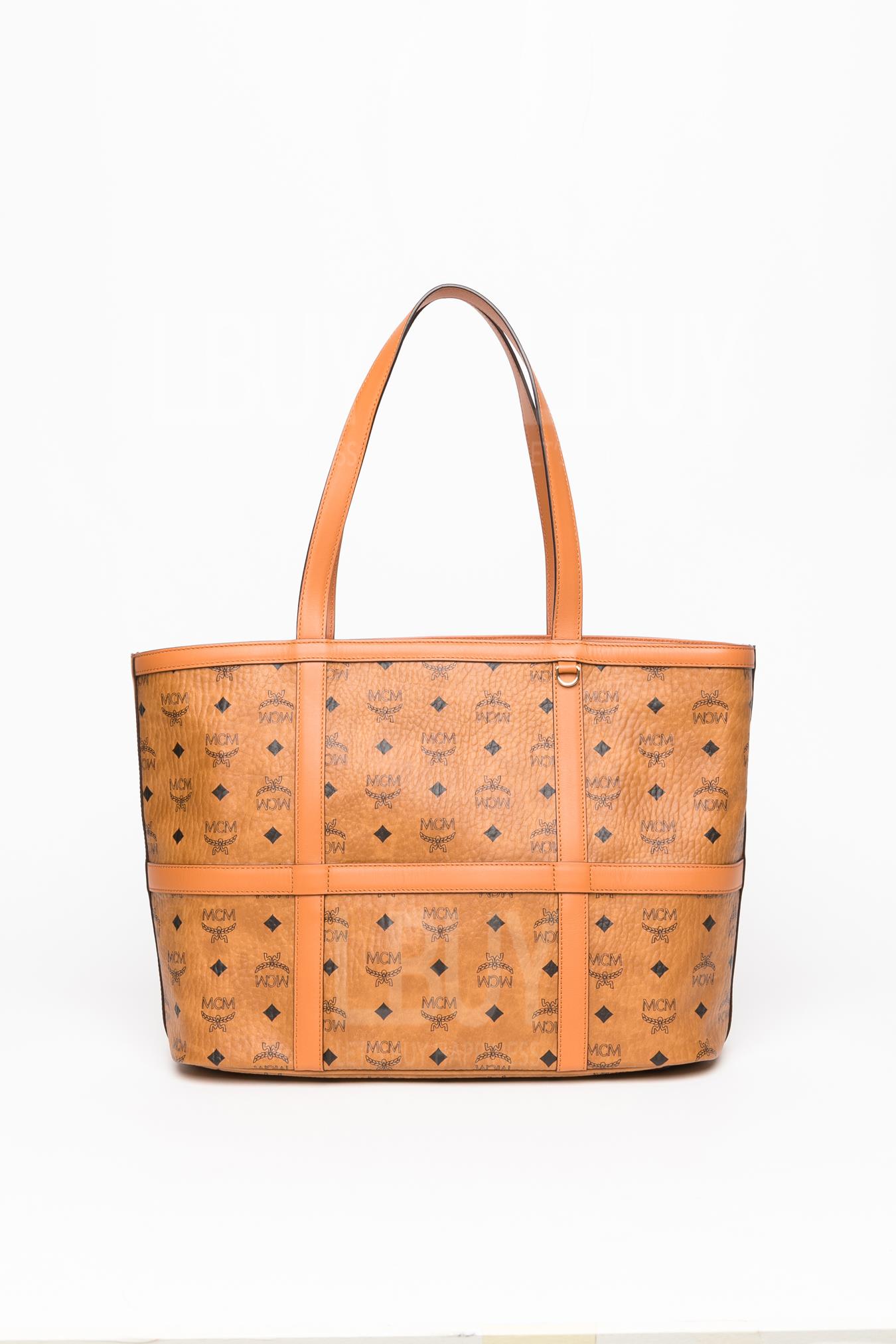 Delmy Visetos 托特包