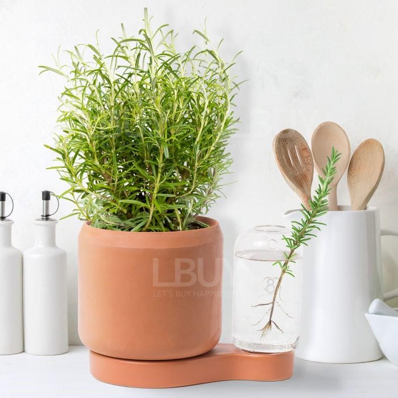 Greenfinity Planting