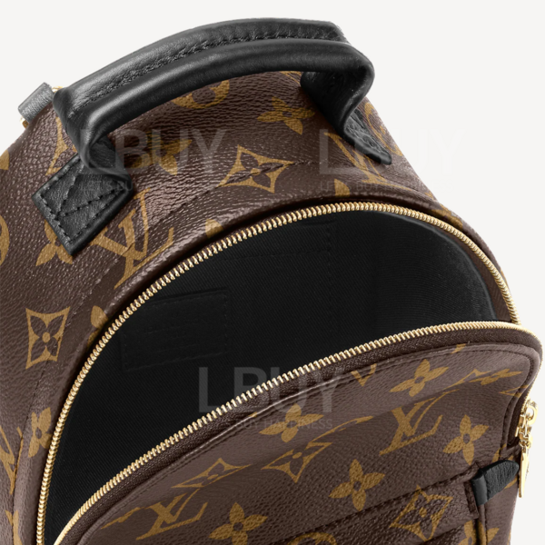Small Backpack Lv Palm Spring Mini Price Malaysia Louis Vuitton-LV