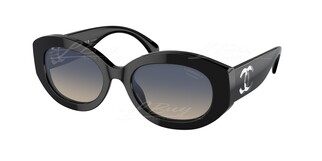 Chanel CC Logo 太陽眼鏡 CH5528